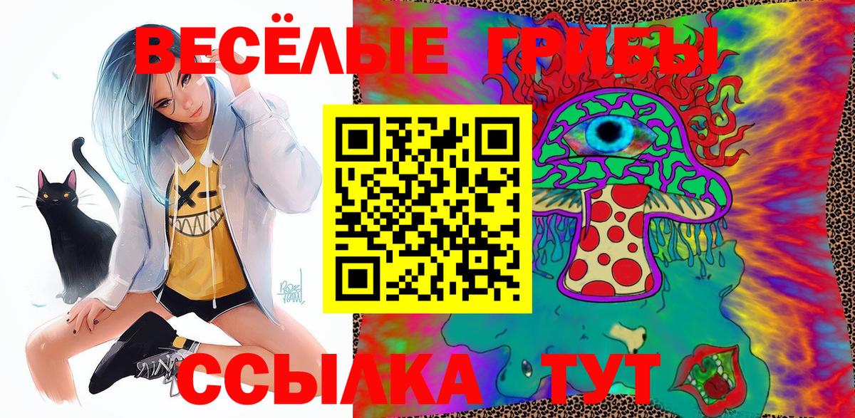 Псилоцибиновые грибы мицелий  как найти   Среднеуральск  Вход с VPN 
